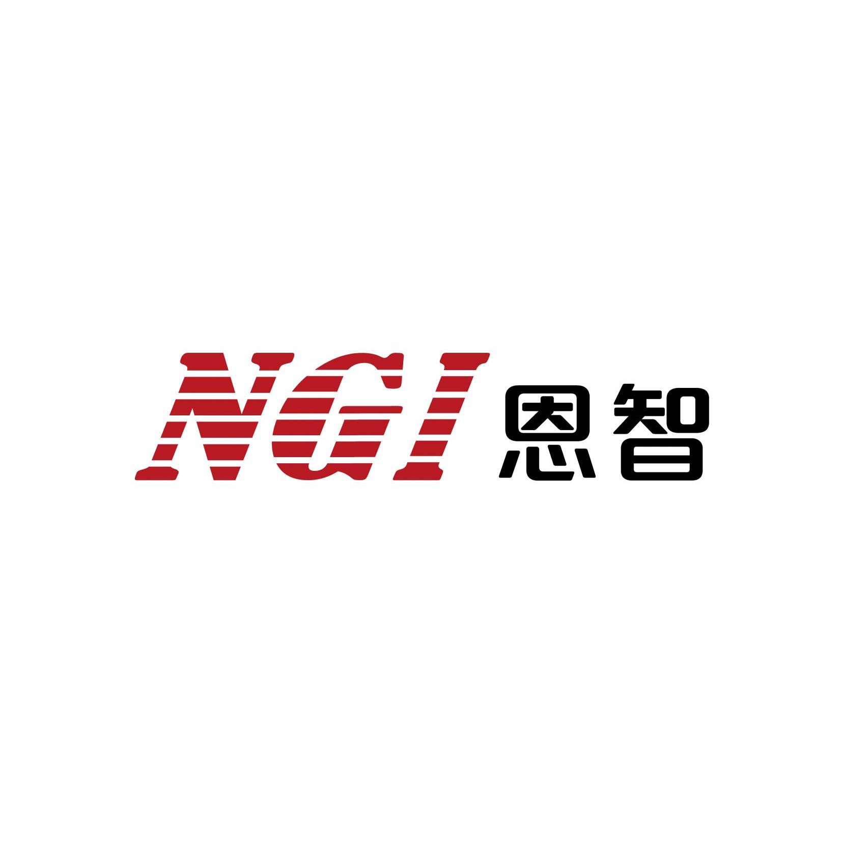 恩智技术股份有限公司