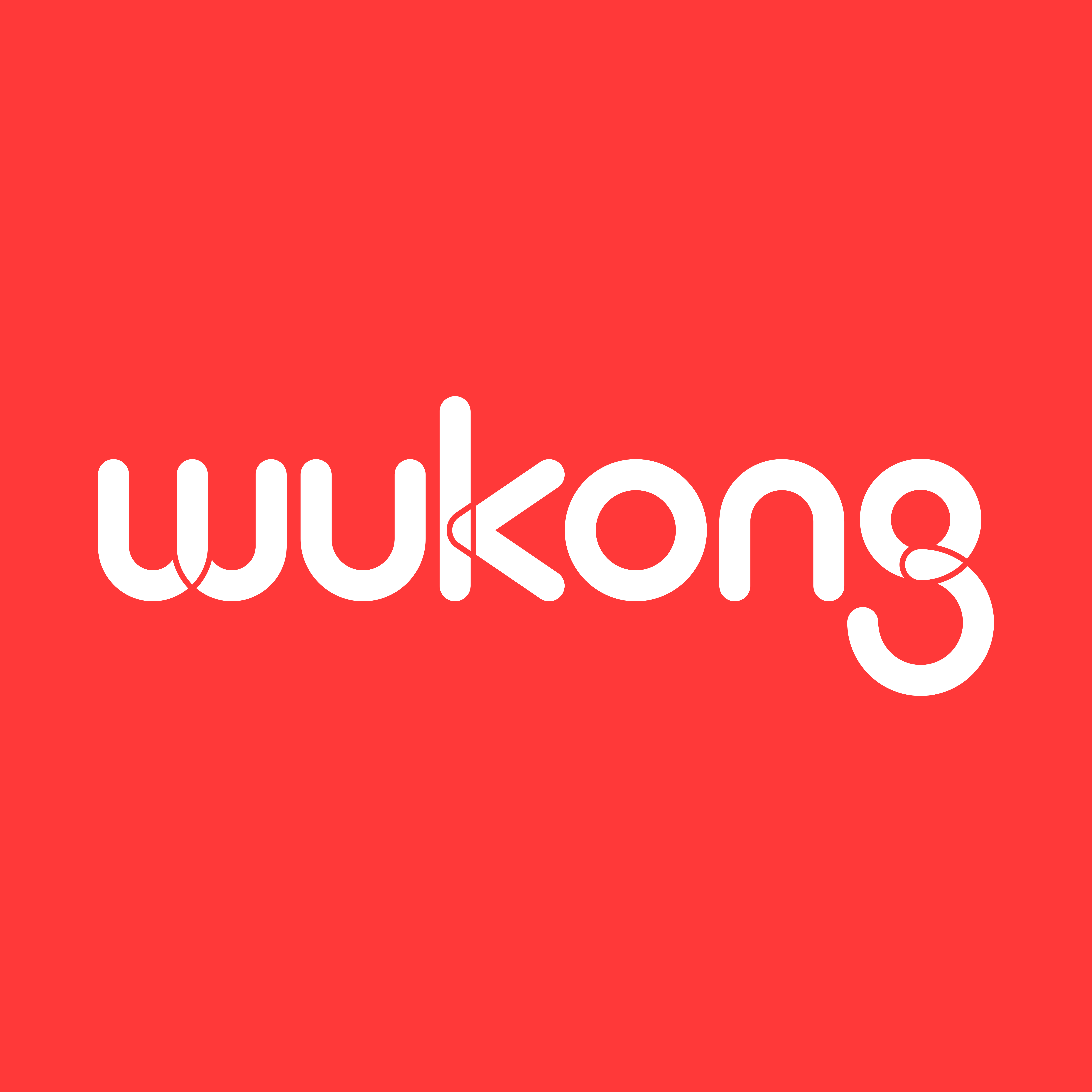 悟空WuKong