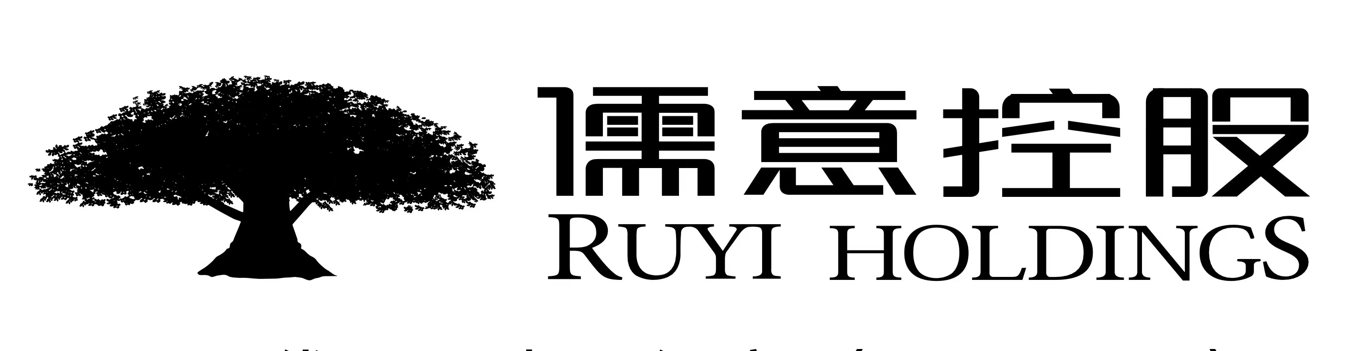 中国儒意控股有限公司